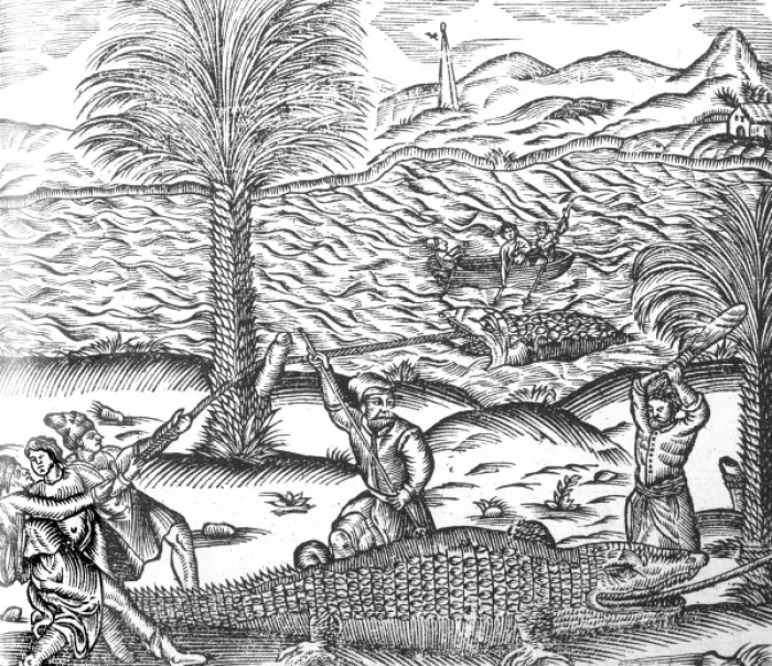 Framed Print : Manner of Catching Crocs Framed Print : Manner of Catching Crocs