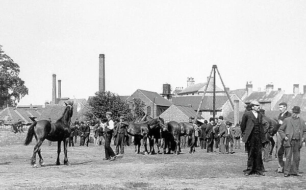 Mansfield Horse Fair early 1900s