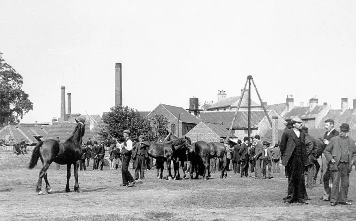 Framed Print : Mansfield Horse Fair early 1900s Framed Print : Mansfield Horse Fair early 1900s