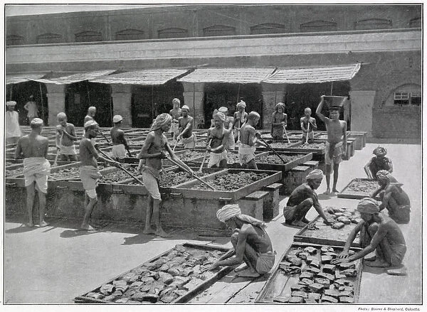 Manufacture of Opium in India