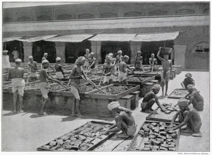 Framed Print : Manufacture of Opium in India Framed Print : Manufacture of Opium in India