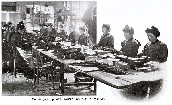 Manufacture of Ostrich Feathers - Joining feathers 1907