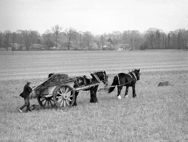 The manure cart on a farm in Berkshire, England. Date: March 1939