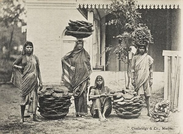Manure Dryers  /  Collectors - Madras, India