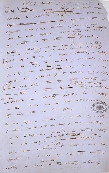 Manuscript page from The Origin of Species