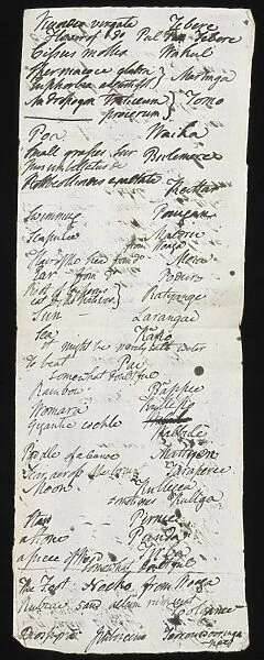 Manuscript page from Robert Browns diary