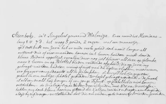 Framed Print : Detail of manuscript text Framed Print : Detail of manuscript text