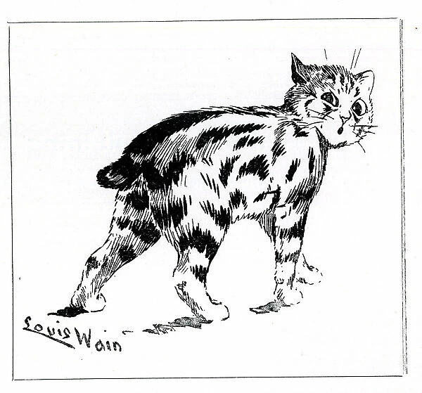 Manx Cat, by Louis Wain