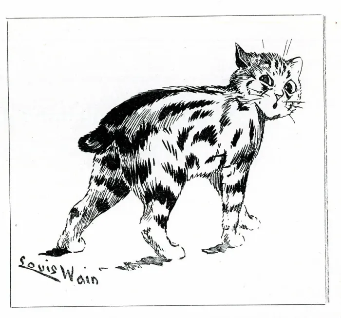 Framed Print : Manx Cat, by Louis Wain Framed Print : Manx Cat, by Louis Wain