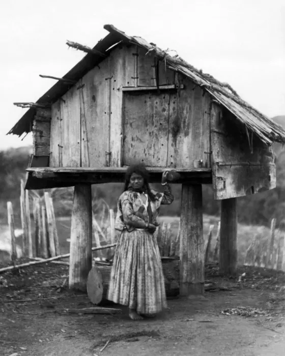 Framed Print : Maori woman, New Zealand Framed Print : Maori woman, New Zealand