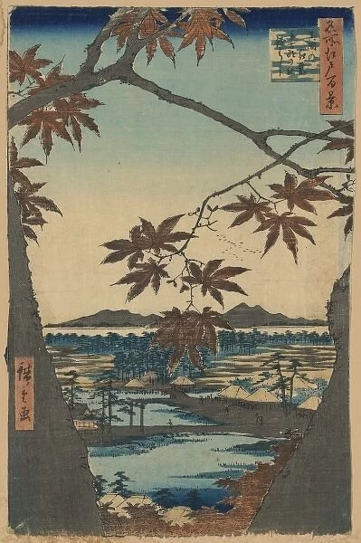 Maple trees at Mama, Tekona Shrine and Linked Bridge