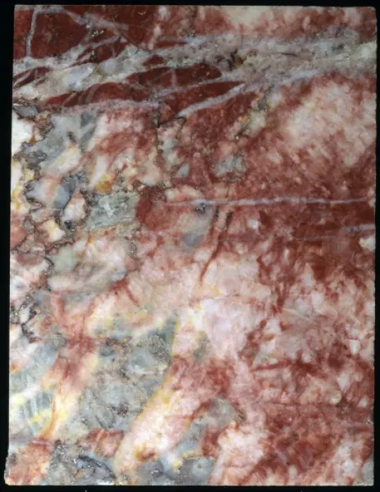 Framed Print : Marble. Specimen number BM 55451, from Midleton, County Cork, Ireland Framed Print : Marble. Specimen number BM 55451, from Midleton, County Cork, Ireland