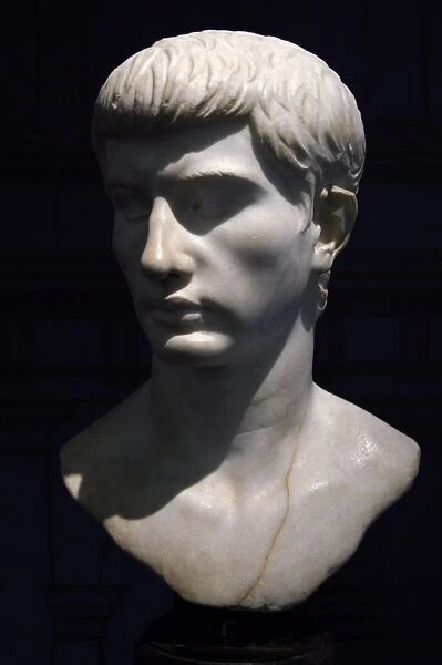 Marcello. Bust. Marble. 1st century B.C