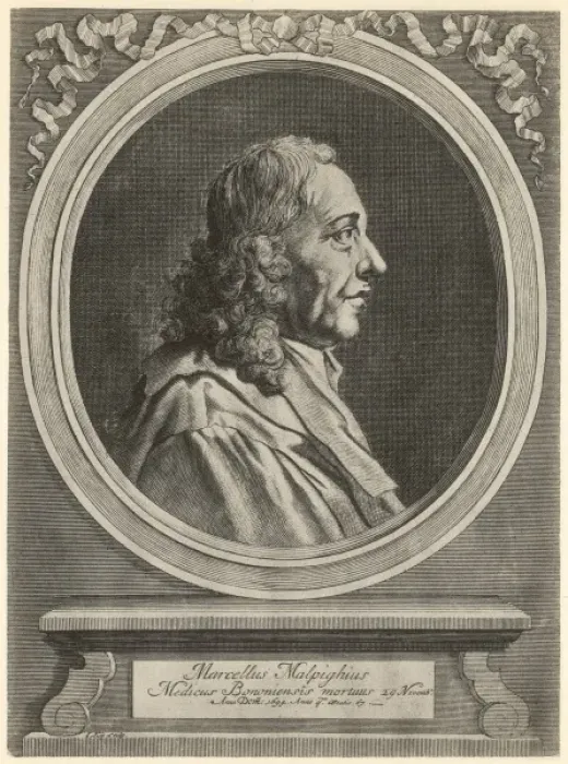 Framed Print : Marcello Malpighi Framed Print : Marcello Malpighi