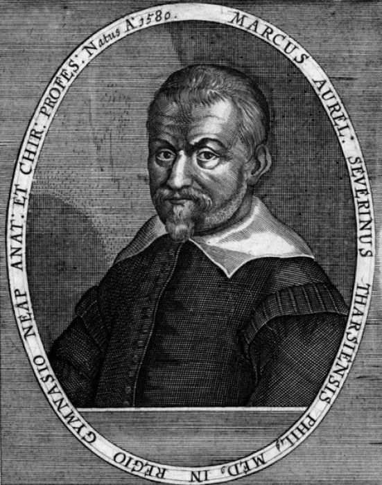Framed Print : Marcus Aurelius Severino Framed Print : Marcus Aurelius Severino