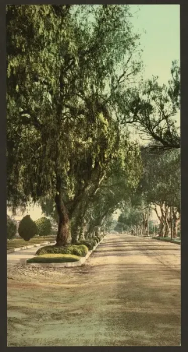 Framed Print : Marengo Avenue, Pasadena Framed Print : Marengo Avenue, Pasadena