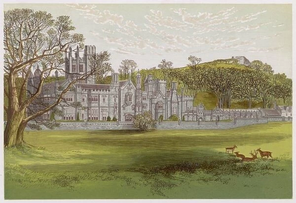 Margam Abbey 1879