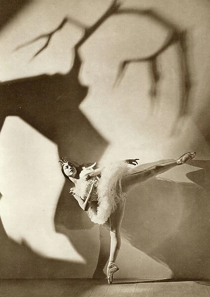 Margot Fonteyn, ballerina in Le Lac des Cygnes (Swan Lake)