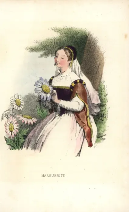 Framed Print : Marguerite daisy flower fairy, Argyranthemum frutescens Framed Print : Marguerite daisy flower fairy, Argyranthemum frutescens