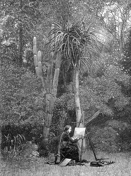 Marianne North (1830-1890) traveller, artist & naturalist; here at work in Grahamstown