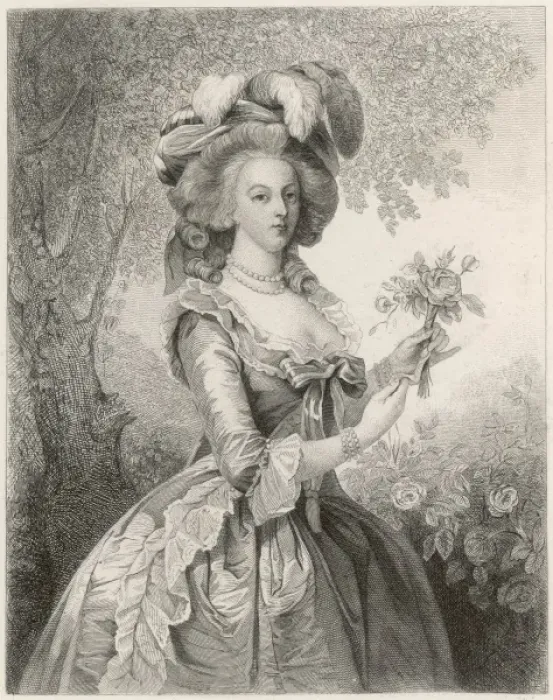 Framed Print : Marie Antoinette Framed Print : Marie Antoinette