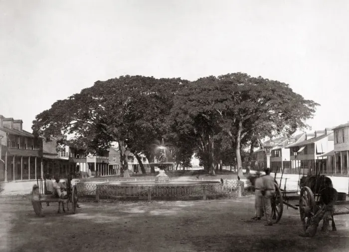 Framed Print : Marine Square, Trinidad, West Indies, c. 1870 s Framed Print : Marine Square, Trinidad, West Indies, c. 1870 s