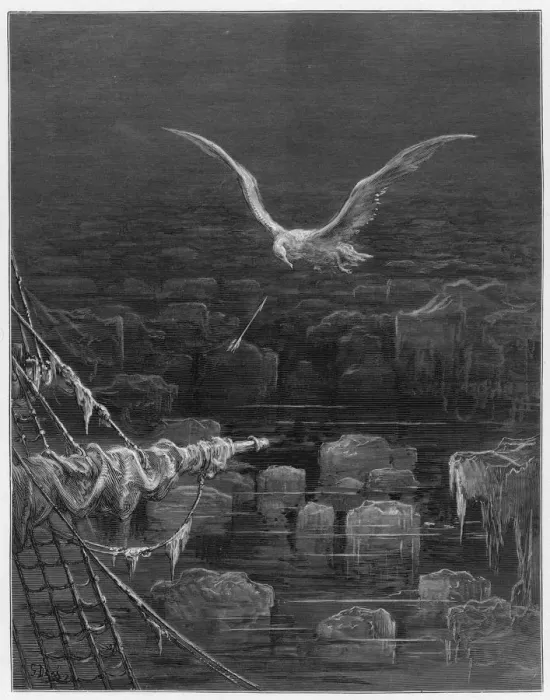 Framed Print : Mariner, Albatross Shot Framed Print : Mariner, Albatross Shot