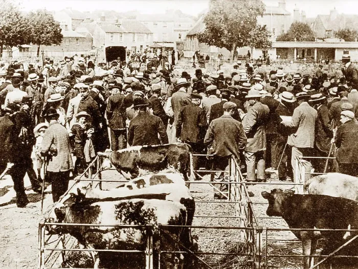 Framed Print : Market, Chichester early 1900's Framed Print : Market, Chichester early 1900's