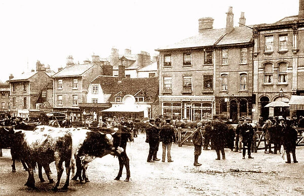 The Market, Chippenham early 1900's