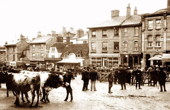 Framed Print : The Market, Chippenham early 1900's Framed Print : The Market, Chippenham early 1900's