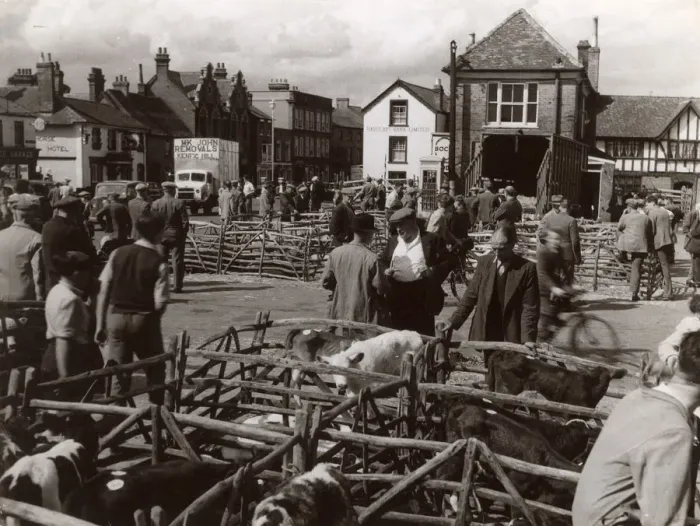 Framed Print : MARKET DAY IN THAME Framed Print : MARKET DAY IN THAME