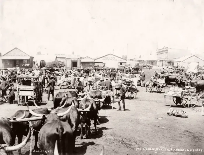 Framed Print : Market, Marshall Square, Johannesburg, South Africa Framed Print : Market, Marshall Square, Johannesburg, South Africa