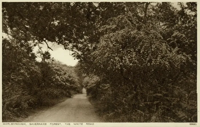 Framed Print : Marlborough, Wiltshire - Savernake Forest, The White Road Framed Print : Marlborough, Wiltshire - Savernake Forest, The White Road