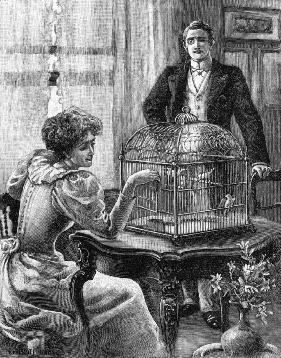 Framed Print : MARRIAGE / A GILDED CAGE Framed Print : MARRIAGE / A GILDED CAGE