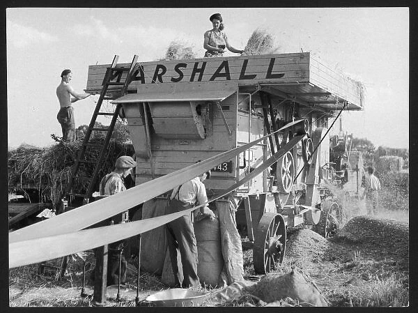 Marshall Thresher. A rather fashionable young woman photographed on a Marshall box