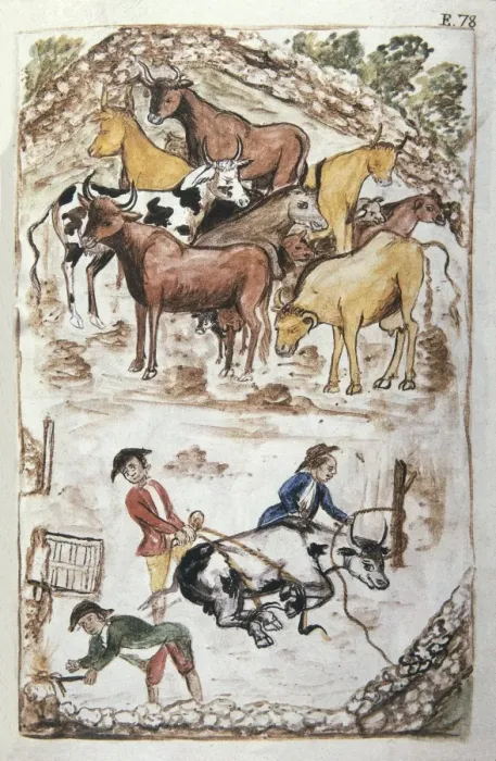 Framed Print : MART͎EZ COMPAѓN Y BUJANDA, Baltasar Jaime (1735-1797) Framed Print : MART͎EZ COMPAѓN Y BUJANDA, Baltasar Jaime (1735-1797)