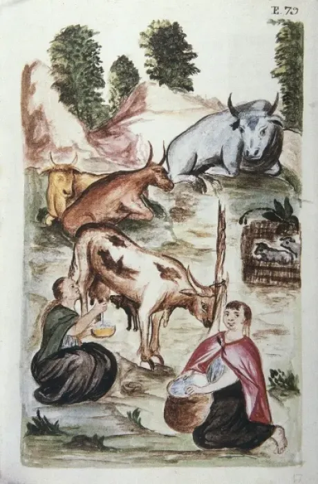 Framed Print : MART͎EZ COMPAѓN Y BUJANDA, Baltasar Jaime (1735-1797)