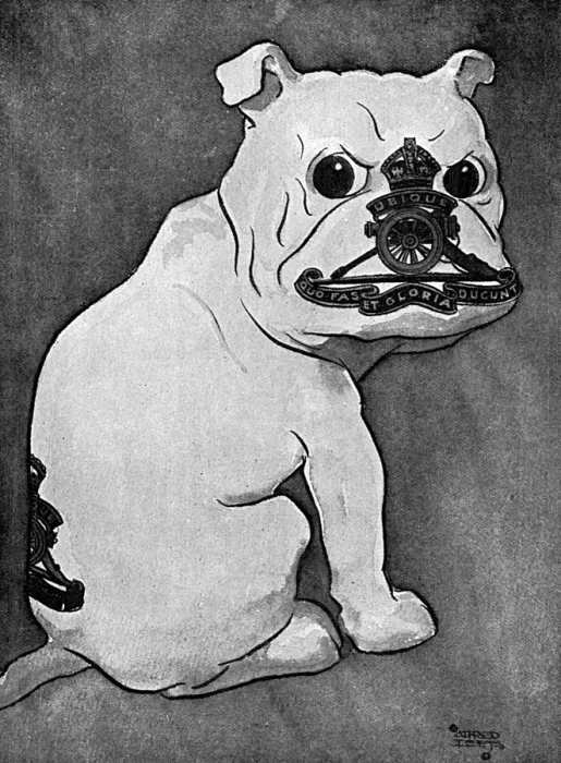 Framed Print : Masbadges - 10. The Royal Dog (The Royal Artillery) Framed Print : Masbadges - 10. The Royal Dog (The Royal Artillery)