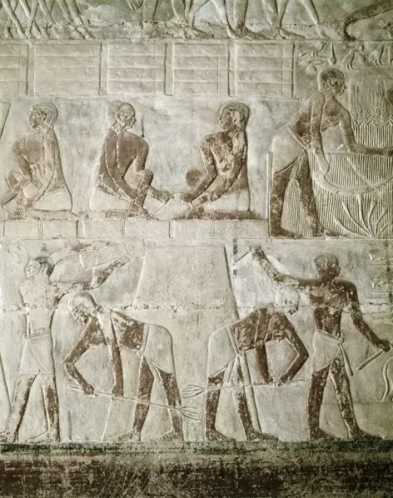 Framed Print : Mastaba of Mereruka. ca. 2323 BC. EGYPT. Saqqara Framed Print : Mastaba of Mereruka. ca. 2323 BC. EGYPT. Saqqara
