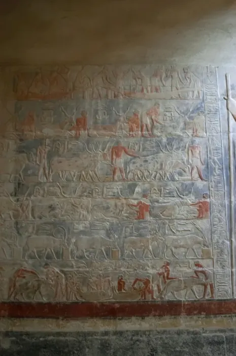 Framed Print : Mastaba of Mereruka. Saqqara. Egypt Framed Print : Mastaba of Mereruka. Saqqara. Egypt