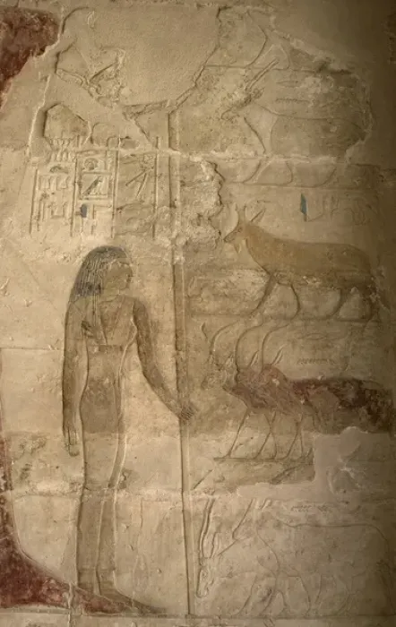 Framed Print : Mastaba of Nefer and Kahay. Relief. Female figure standing w Framed Print : Mastaba of Nefer and Kahay. Relief. Female figure standing w