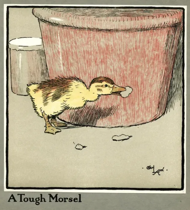 Framed Print : Master Quack the duckling finds a tough morsel Framed Print : Master Quack the duckling finds a tough morsel