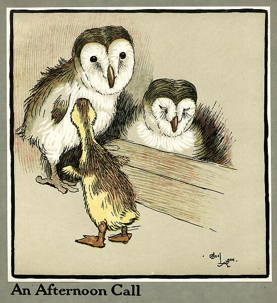 Master Quack the duckling meets two owls