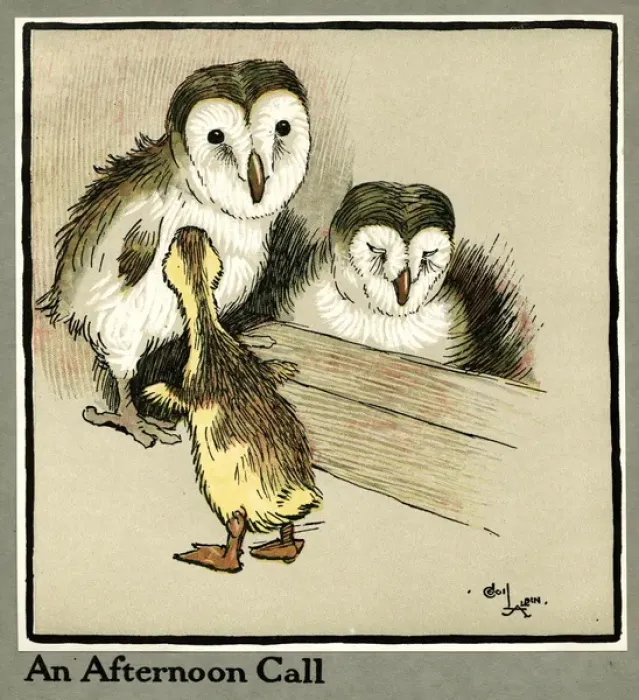 Framed Print : Master Quack the duckling meets two owls Framed Print : Master Quack the duckling meets two owls