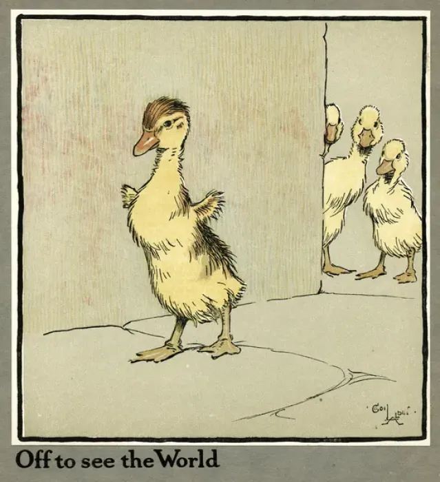 Framed Print : Master Quack the duckling sets off Framed Print : Master Quack the duckling sets off