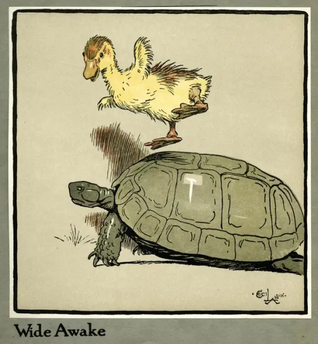 Framed Print : Master Quack the duckling thrown into the air Framed Print : Master Quack the duckling thrown into the air