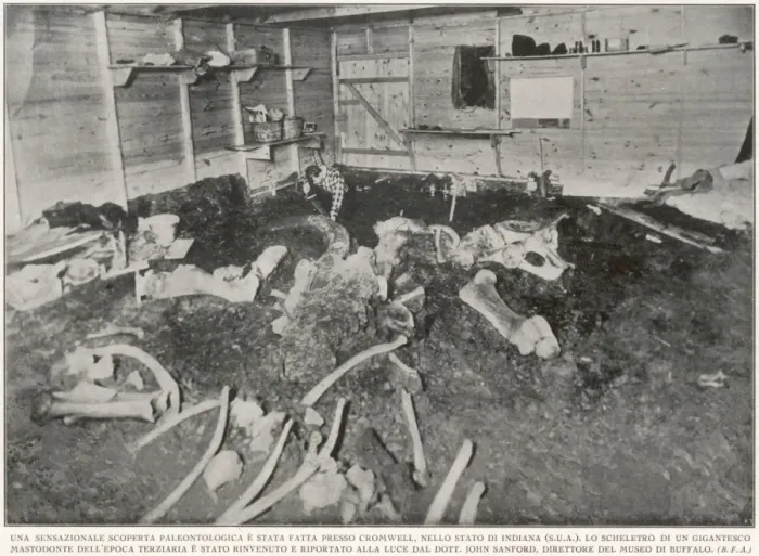 Framed Print : Mastodon remains in Indiana Framed Print : Mastodon remains in Indiana