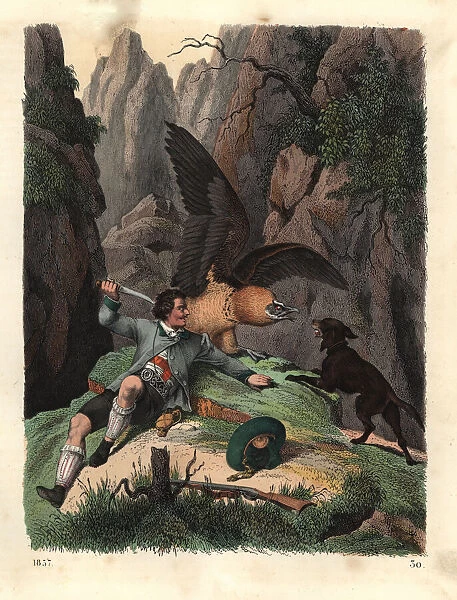 Mathias Sturz fighting a bearded vulture with a knife