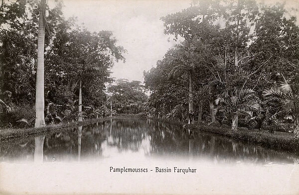 Mauritius - Pamplemousses - Basin Farquar