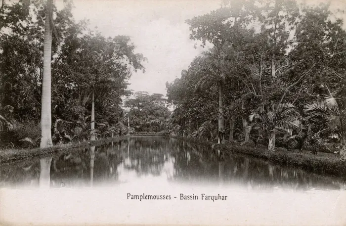 Framed Print : Mauritius - Pamplemousses - Basin Farquar